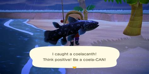 coelacanth acnh|anch coelacanth where.